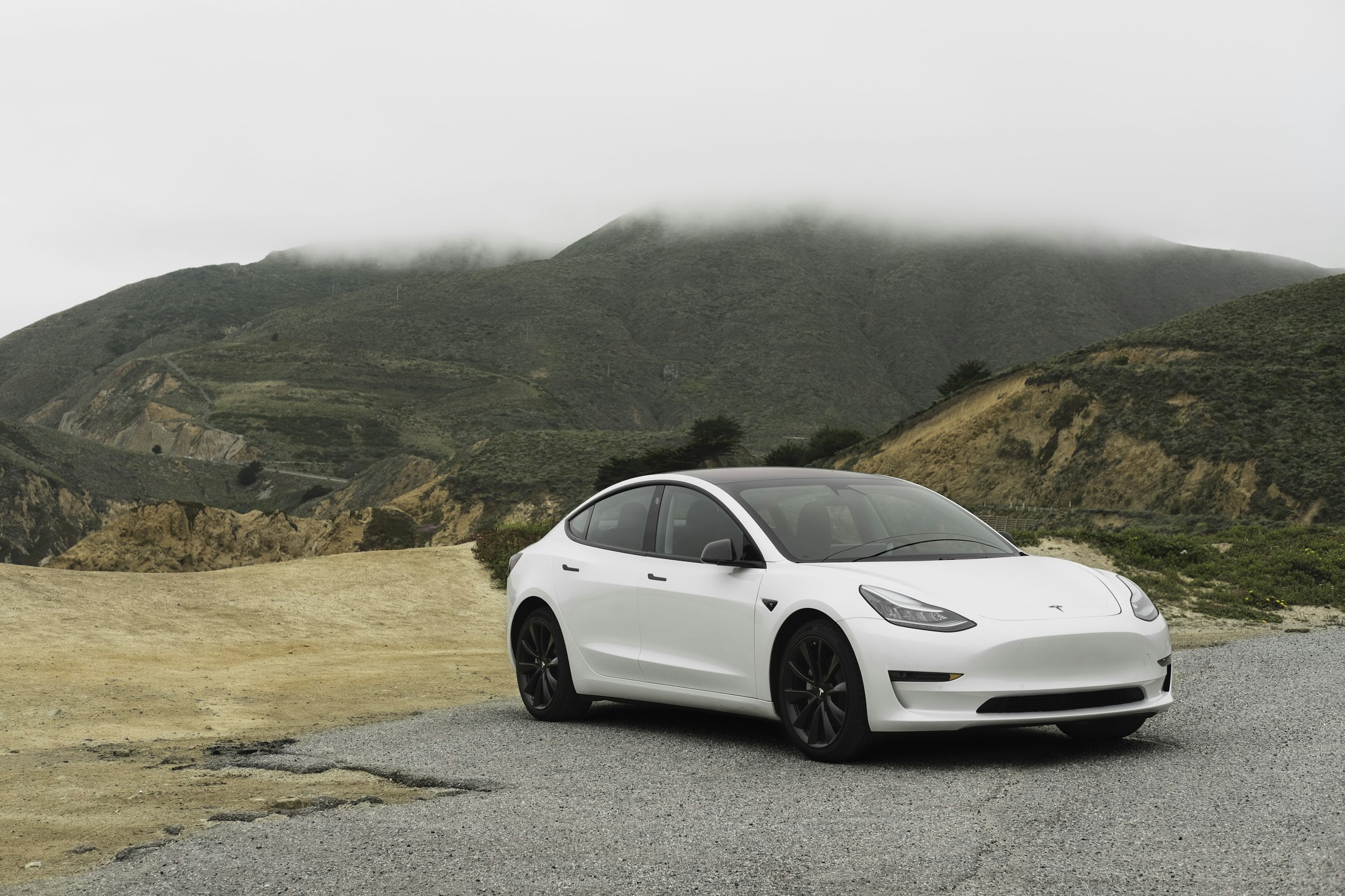 Tesla Musk Verse Technologies Investment Plans